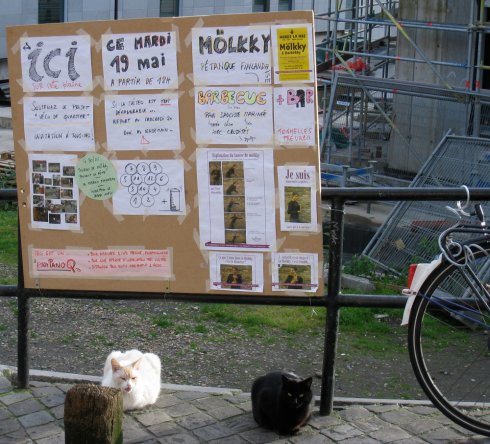 2009 - Affichage de barbare sous l'oeil indifférent de 2 chats de pierraille (chat de gouttière dans not'quartier)